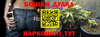гидропоника Кингисепп