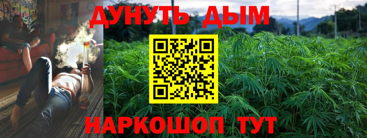 Бошки марихуана план Котовск